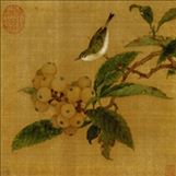 林椿