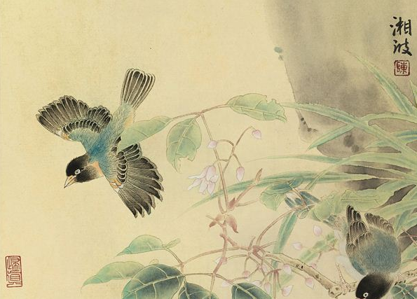 赵声良：一花一世界--读陈湘波的工笔画